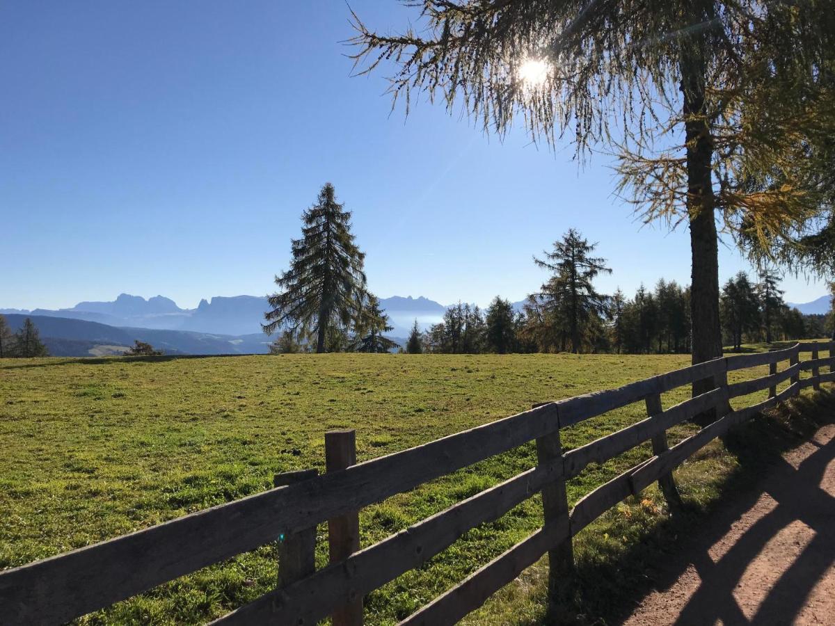 Beckenbinder Apartement Schlern Jenesien Exterior foto